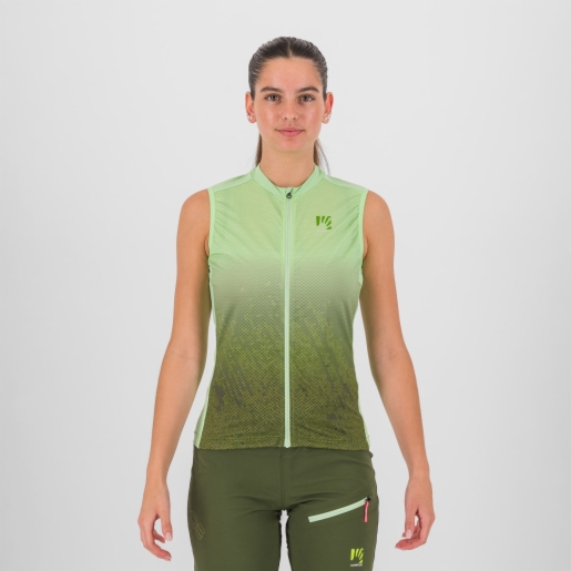 ARCADIAN/CEDAR GREEN ARCADIAN/CEDAR GREEN