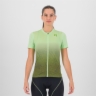 ARCADIAN/CEDAR GREEN ARCADIAN/CEDAR GREEN