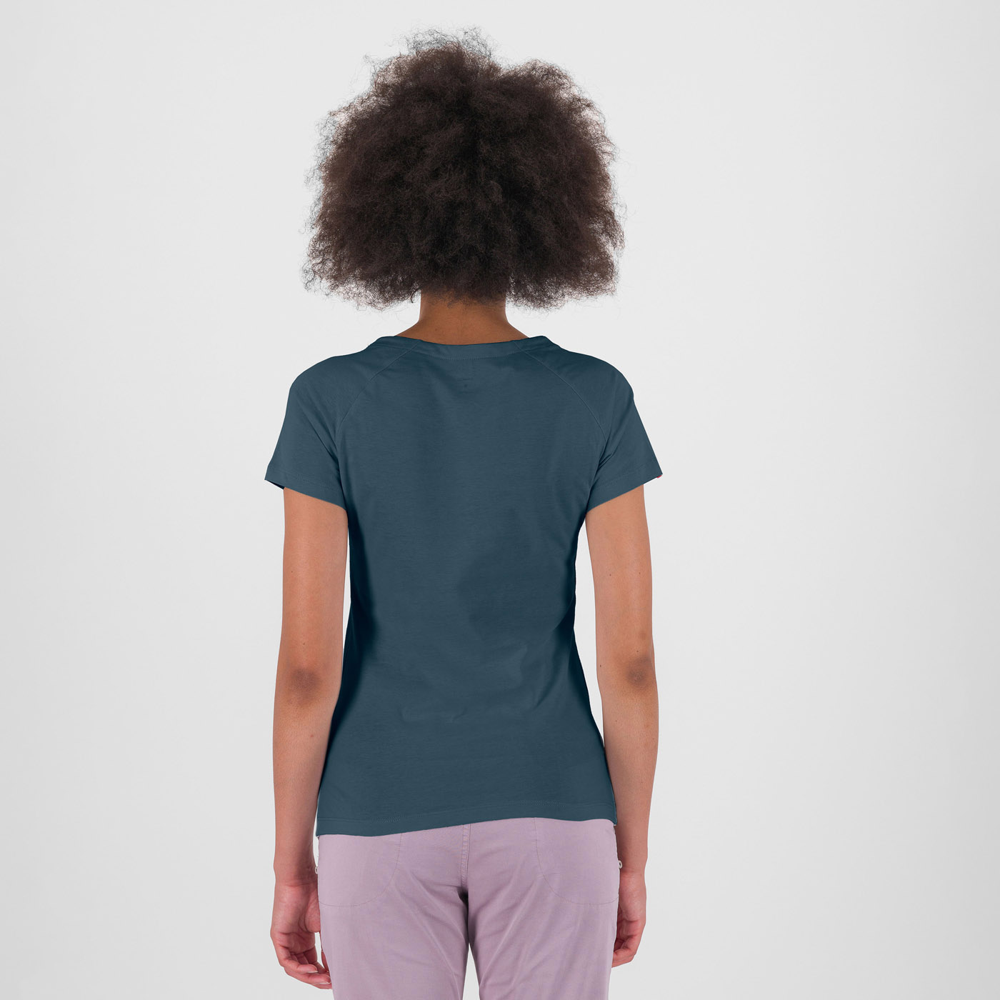 ASTRO ALP. EVO W T-S ASTRO ALP. EVO W T-S