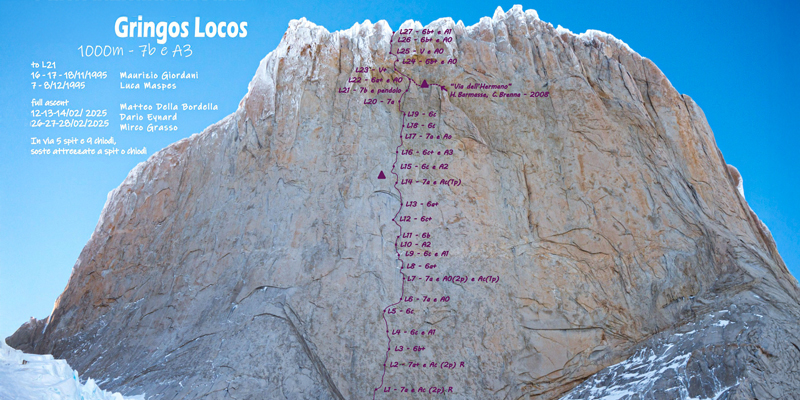 gringos-locos-mosaic-5.jpg gringos-locos-mosaic-5.jpg