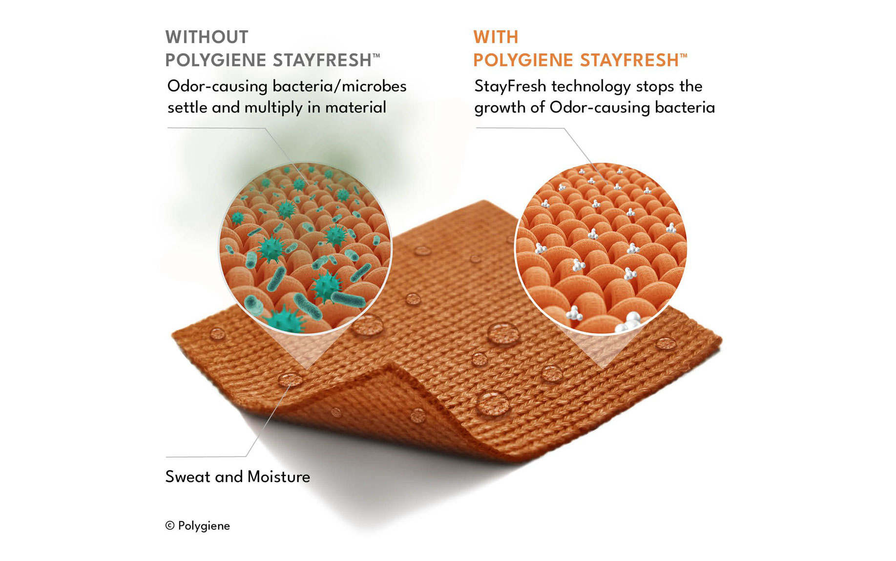 polygiene-treatment-banner-desktop.jpg polygiene-treatment-banner-desktop.jpg