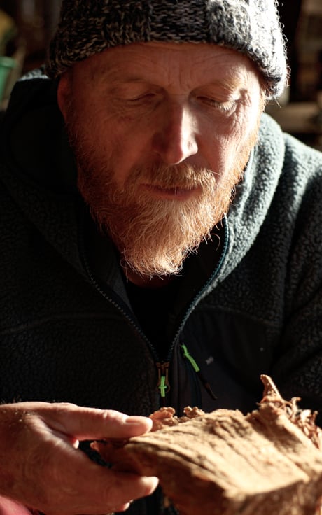 radici-spezzate-cover-desktop.jpg radici-spezzate-cover-desktop.jpg