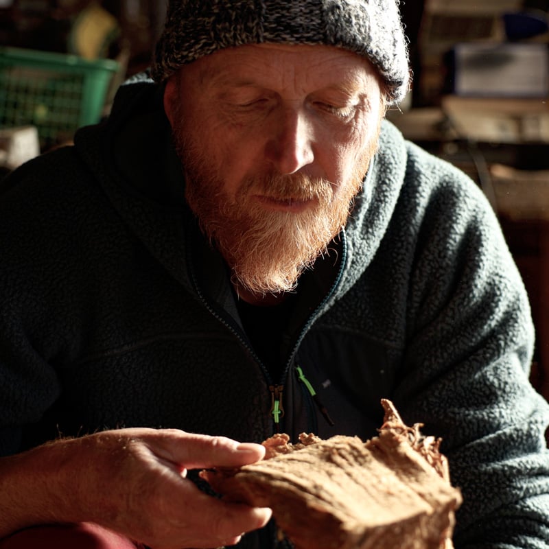 radici-spezzate-thumbnail-mobile.jpg radici-spezzate-thumbnail-mobile.jpg