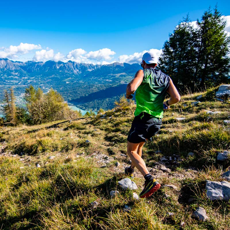 trail-del-nevegal-mosaic-1.jpg trail-del-nevegal-mosaic-1.jpg